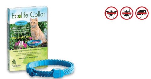 Ecolife Collar 全天然精油驅牛蜱，跳蚤和蚊帶 (37cm  , 3個月以上貓貓)