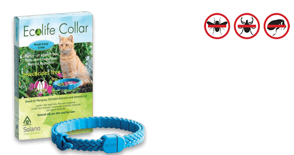 Ecolife Collar 全天然精油驅牛蜱,跳蚤和蚊帶 (37cm , 3個月以上貓貓)